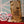 Load image into Gallery viewer, Holzkunst für Fortgeschrittene Dresdner Erlebniswelt