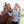 Load image into Gallery viewer, Pferdegestütztes Einzelcoaching Dresdner Erlebniswelt