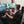 Load image into Gallery viewer, Dein Führerschein - Deine Freiheit Dresdner Erlebniswelt