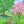 Load image into Gallery viewer, Acrylmalerei aus Dresden Dresdner Erlebniswelt