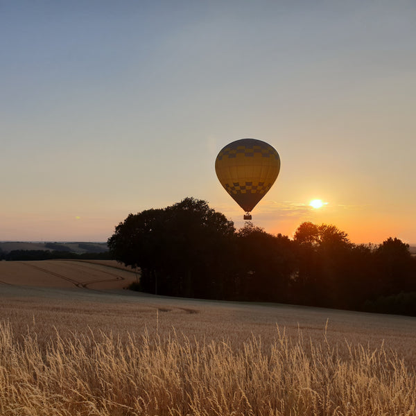 Über den Dächern von Dresden gleiten Dresdner Erlebniswelt