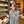Laden Sie das Bild in den Galerie-Viewer, Kulinarik & Sightseeing Dresdner Erlebniswelt