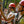 Load image into Gallery viewer, Hochseilgarten - Parcours Dresdner Erlebniswelt