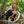 Load image into Gallery viewer, Hochseilgarten - Parcours Dresdner Erlebniswelt