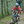 Load image into Gallery viewer, Downhill im Bikepark Dresdner Erlebniswelt