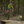 Load image into Gallery viewer, Downhill im Bikepark Dresdner Erlebniswelt