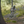 Load image into Gallery viewer, Downhill im Bikepark Dresdner Erlebniswelt