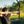 Load image into Gallery viewer, 3D Bogenparcours Dresdner Erlebniswelt