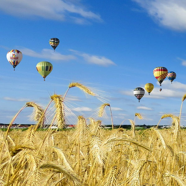Über den Dächern von Dresden gleiten Dresdner Erlebniswelt