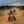 Load image into Gallery viewer, Quad Tour Dresden & Umland Dresdner Erlebniswelt