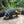 Load image into Gallery viewer, 3D Bogenparcours Dresdner Erlebniswelt