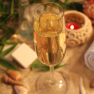 Lady Special Dresdner Erlebniswelt