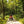Load image into Gallery viewer, Quad Tour Dresden & Umland Dresdner Erlebniswelt