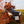 Load image into Gallery viewer, Quad Tour Dresden & Umland Dresdner Erlebniswelt