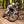 Load image into Gallery viewer, Downhill im Bikepark Dresdner Erlebniswelt