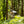 Load image into Gallery viewer, Downhill im Bikepark Dresdner Erlebniswelt