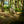 Load image into Gallery viewer, Downhill im Bikepark Dresdner Erlebniswelt