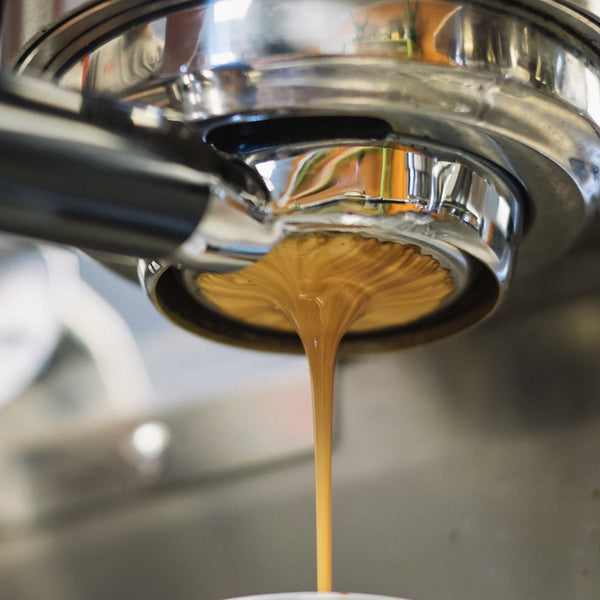 Barista Kaffeeschule Dresden Dresdner Erlebniswelt