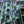 Load image into Gallery viewer, Schnitzeljagd in Dresden Dresdner Erlebniswelt
