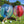 Load image into Gallery viewer, Bubble Balls Dresden Dresdner Erlebniswelt