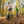 Load image into Gallery viewer, Monsterroller - Georgenbad 2 er Tour Dresdner Erlebniswelt