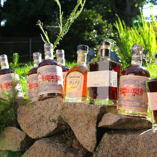 Scotch whiskey tasting