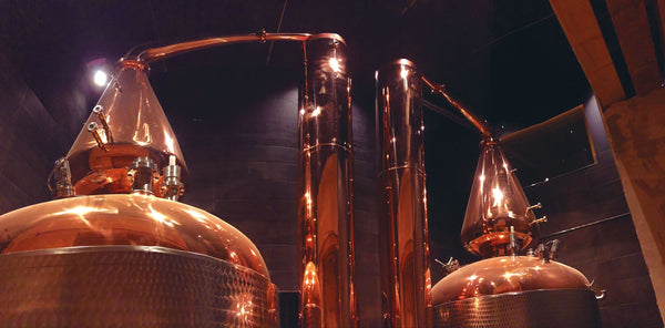 Whisky Tasting - Dresden