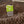 Load image into Gallery viewer, Kaffeerösterei Führung Dresden
