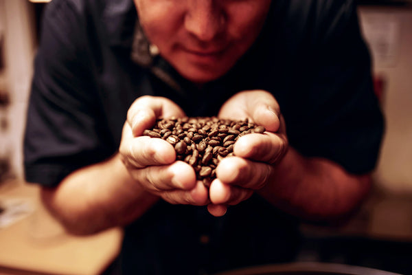 Kaffeerösterei Führung Dresden