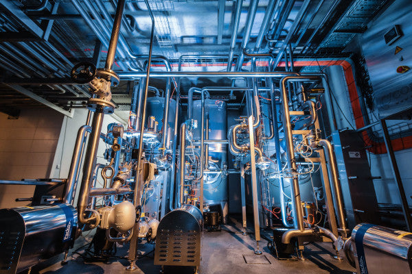 Whisky Tasting - Dresden