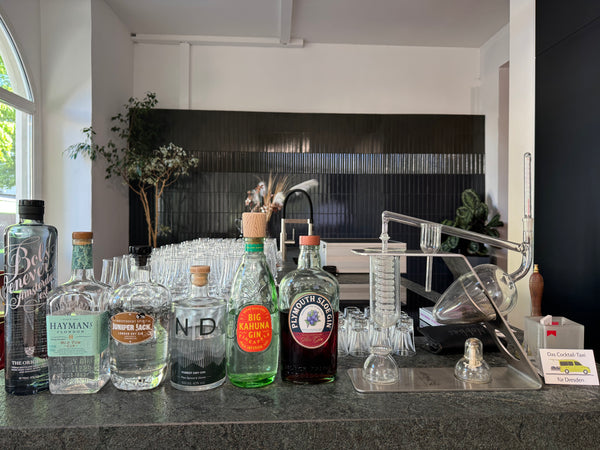 Gin and tonic tasting