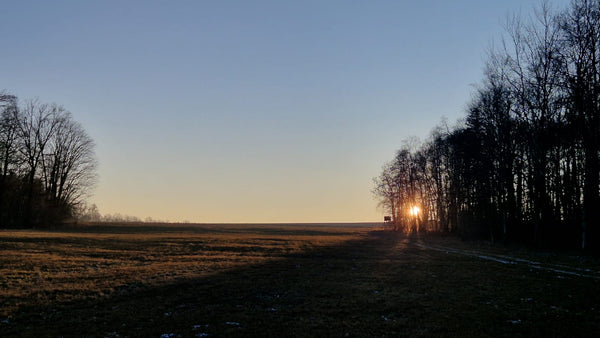 Raus aus dem Alltag, rein ins Revier