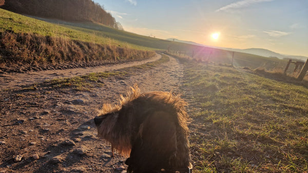 Raus aus dem Alltag, rein ins Revier