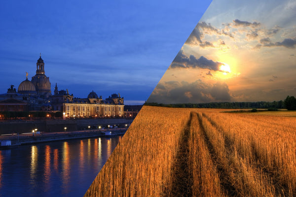 Whisky Tasting - Dresden