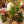 Load image into Gallery viewer, Kreativität, die bleibt – florale Workshops
