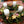 Load image into Gallery viewer, Kreativität, die bleibt – florale Workshops
