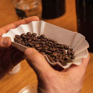 Kaffee Sensorik-Kurs Dresdner Erlebniswelt
