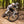 Load image into Gallery viewer, Downhill im Bikepark Dresdner Erlebniswelt

