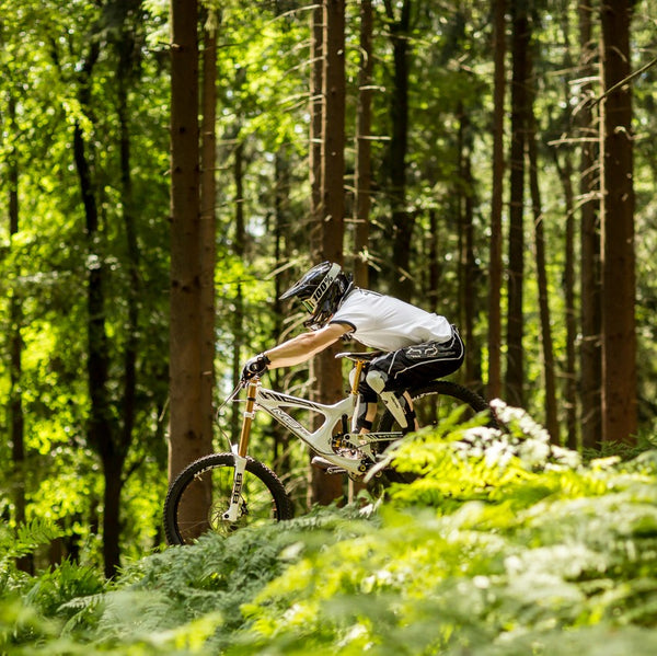 mountainbike kurs dresden Downhill im Bikepark – Dresdner Erlebniswelt